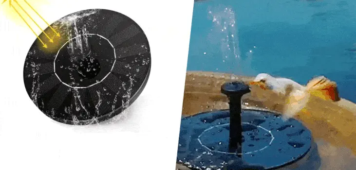 Sherem Solar Powered Water Fountain gif with bird