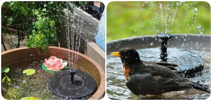 Sherem Solar Powered Water Fountain collage in use