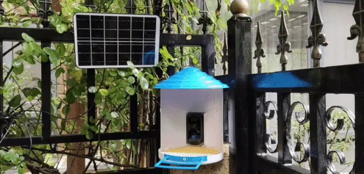 Sherem Smart Hummingbird Feeder with Camera gif