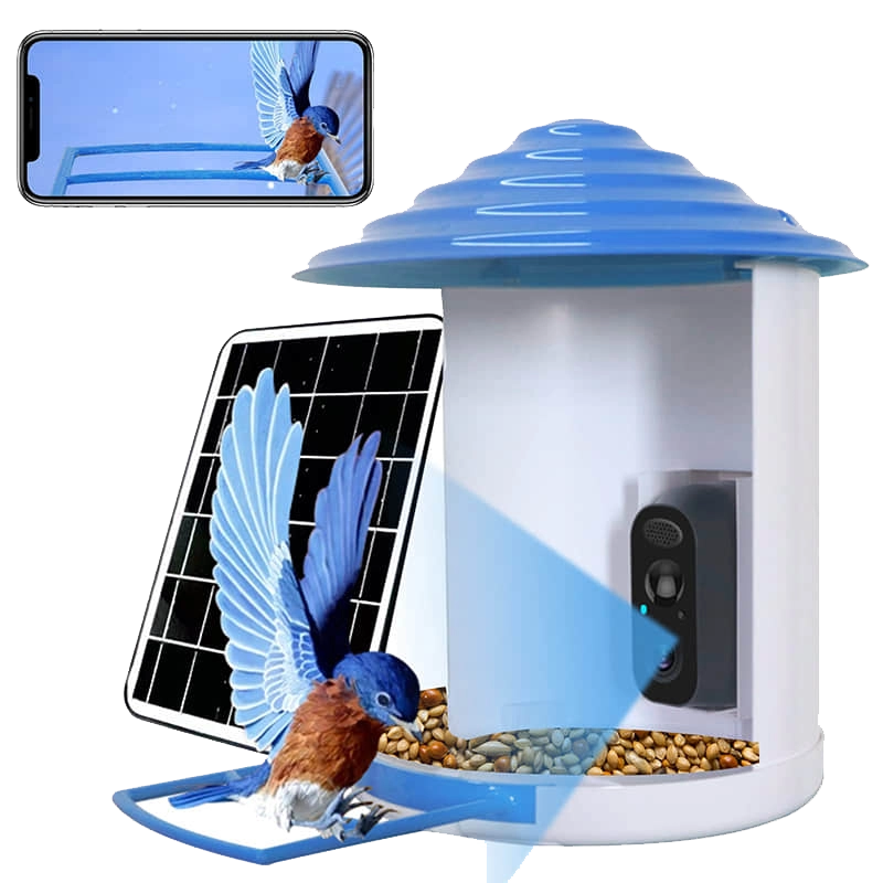 Sherem Smart Hummingbird Feeder with Camera, watching bird through phone
